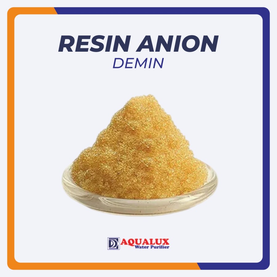 Resin Anion